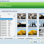 photo recovery software