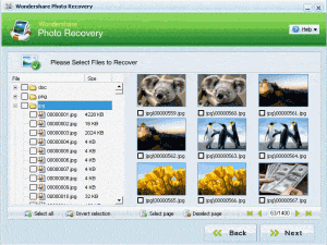 photo recovery software photo recovery software