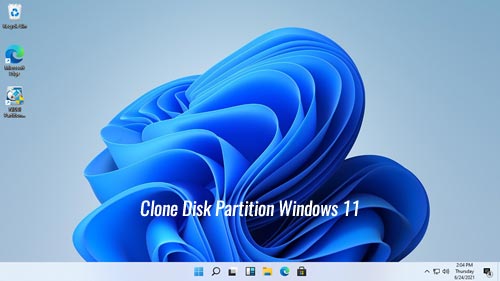 Clone disk パーティション