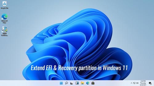 ampliar EFI recuperación de particiones