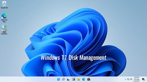 Disk-Management