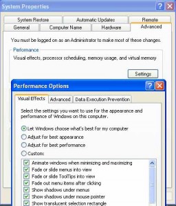 Adjust Visual Effects